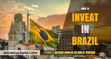 Unlocking Brazil's Potential: A Comprehensive Guide to Smart Investing