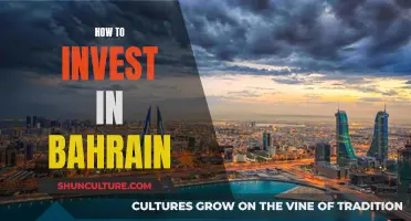 Bahrain Investment Guide: Strategies for Foreign Investors