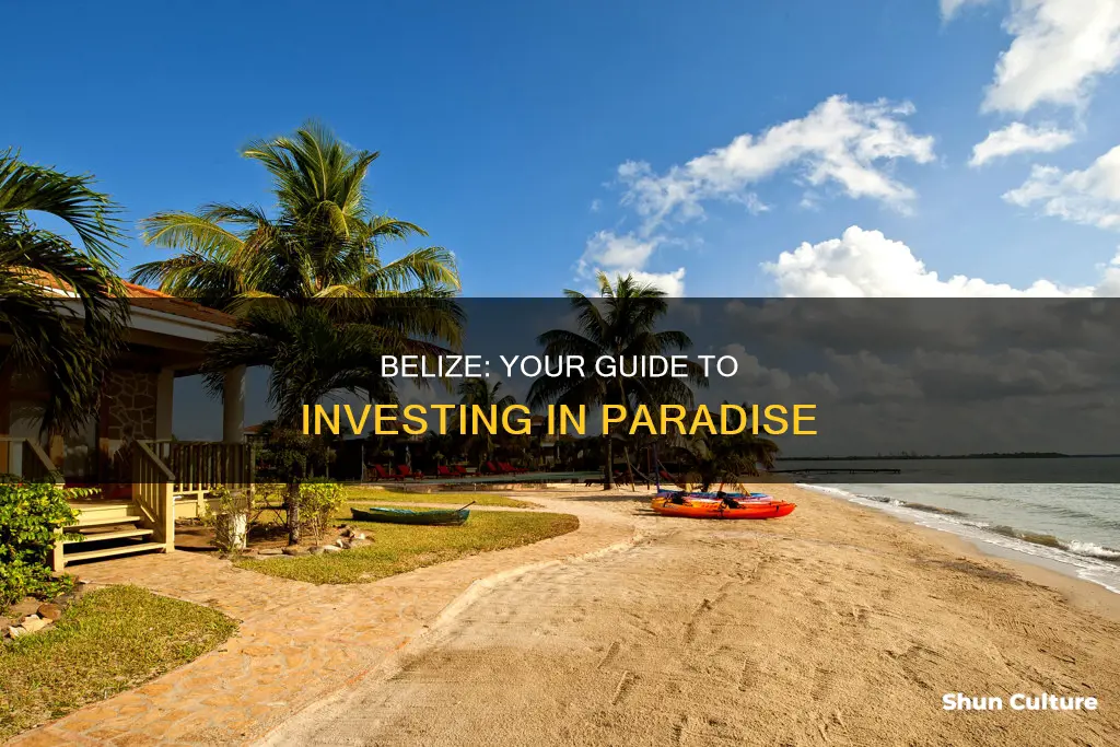 how to invest in belize