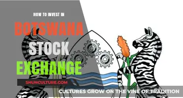 Investing in Botswana Stock Exchange: A Comprehensive Guide for Beginners