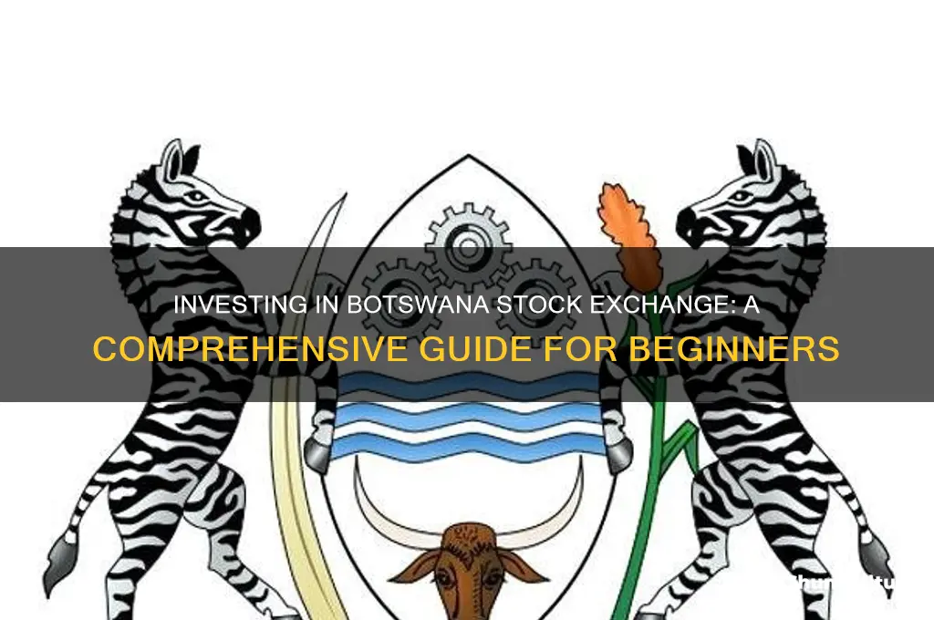 how to invest in botswana stock exchange