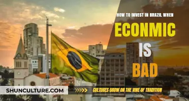 Investing in Brazil's Downturn: Strategies for Navigating Economic Challenges
