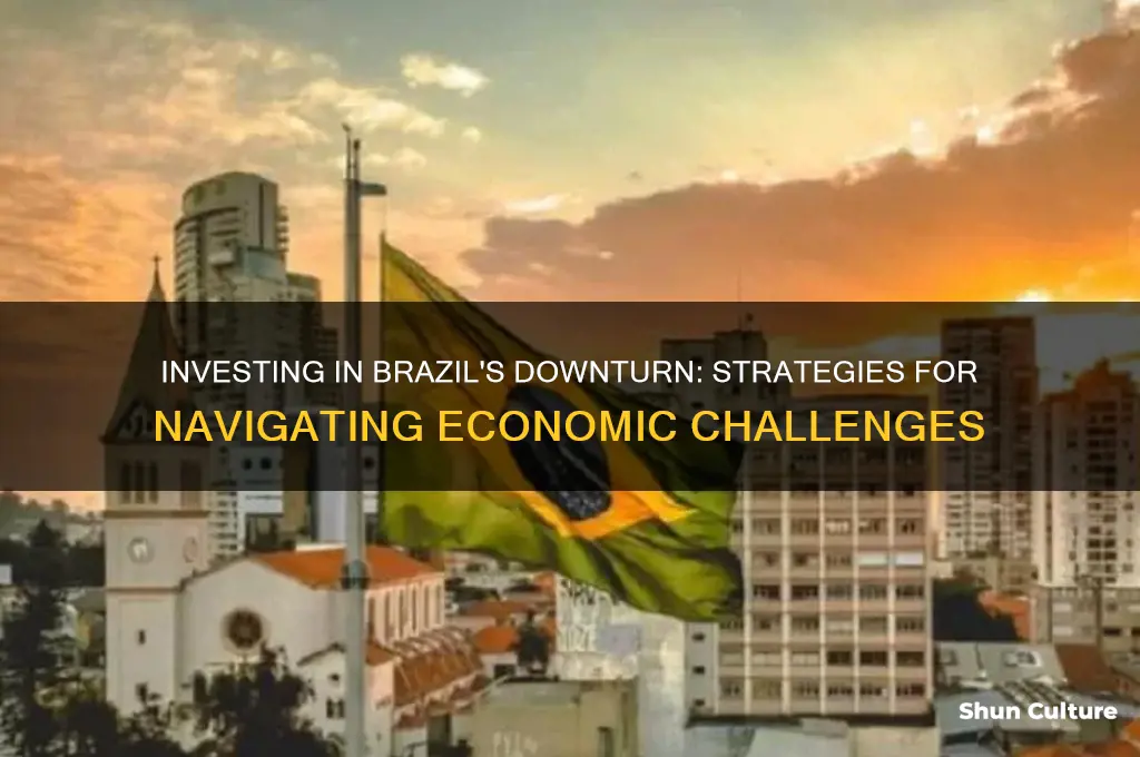 how to invest in brazil when econmic is bad