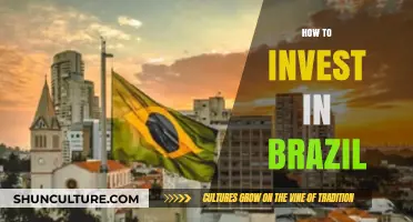 Unlocking Brazil's Investment Potential: A Comprehensive Guide for Global Investors