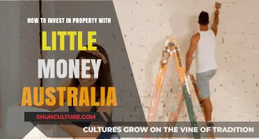 Little Money, Big Property: Australia's Smart Investment Guide
