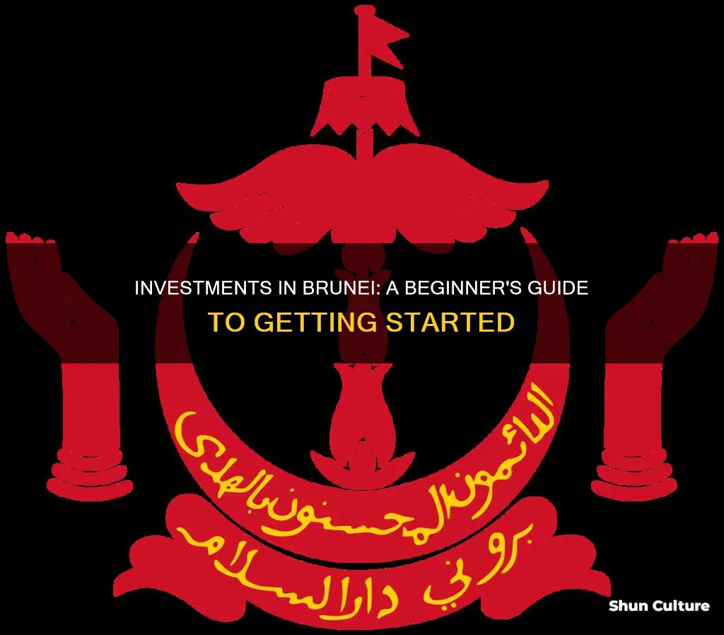 how to invest money in brunei