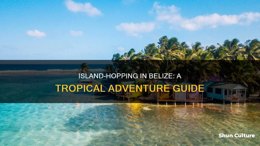 how to island hop in belize