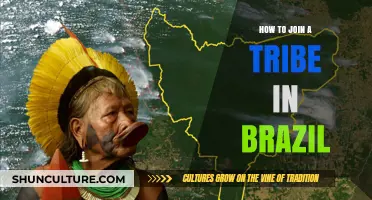 Discovering Belonging: A Guide to Joining Indigenous Tribes in Brazil