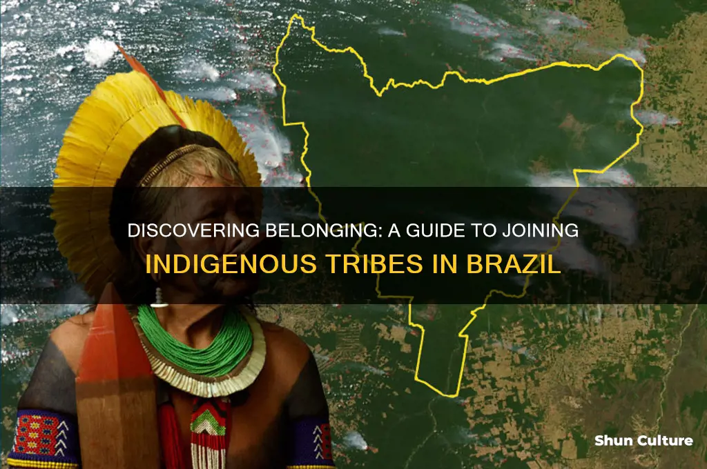 how to join a tribe in brazil