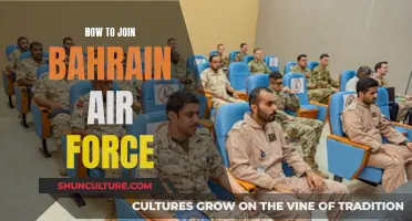 Joining the Bahrain Air Force: Requirements and Steps