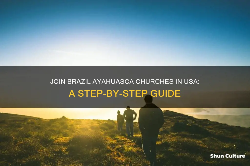 how to join brazil ayahuasca churches in usa