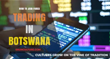 Start Forex Trading in Botswana: A Beginner's Step-by-Step Guide