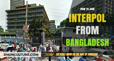 Joining Interpol from Bangladesh: A Comprehensive Career Guide
