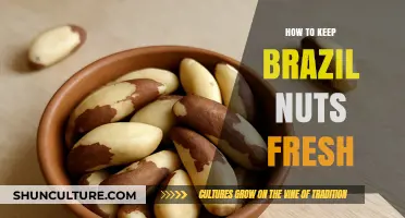 Preserving Brazil Nuts: Simple Tips for Long-Lasting Freshness and Flavor