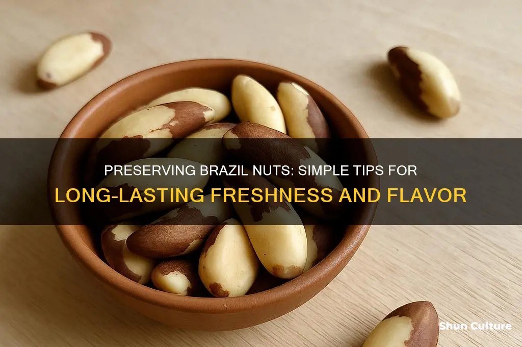 how to keep brazil nuts fresh