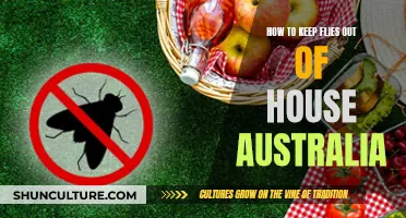 Keep Flies Away: Simple Australian Home Tricks