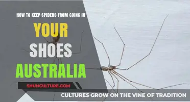 Prevent Spiders in Shoes: Essential Tips for Aussies