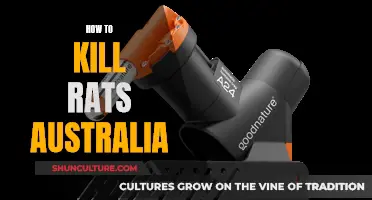 Eradicate Rats: Australia's Guide to Pest Control