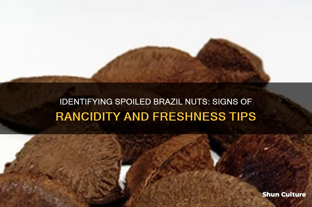 how to know when brazil nuts are bad