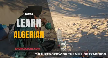 Mastering Algerian Arabic: A Beginner’s Guide to Learning the Language