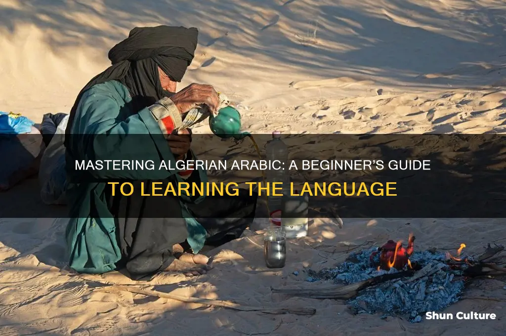 how to learn algerian