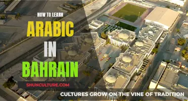 Learning Arabic in Bahrain: A Comprehensive Guide