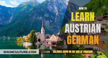 Master Austrian German: Tips for Effective Language Learning