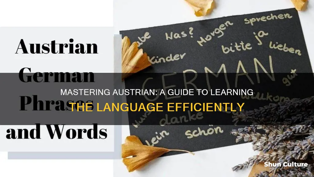 how to learn austrian