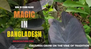 Exploring the Mystical Arts: A Guide to Learning Black Magic in Bangladesh