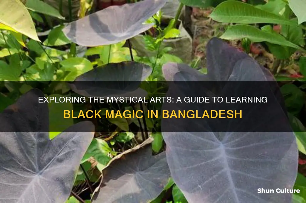how to learn black magic in bangladesh