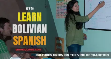 Mastering Bolivian Spanish: A Comprehensive Guide to Success