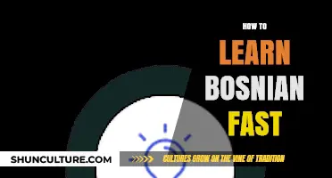 Master Bosnian Quickly: Effective Strategies for Fast Language Learning