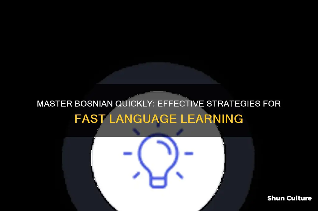 how to learn bosnian fast