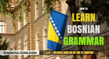 Mastering Bosnian Grammar: Essential Tips and Strategies for Language Learners