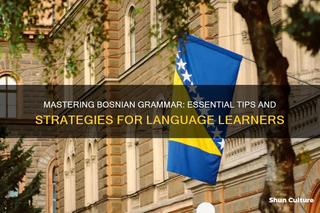 how to learn bosnian grammar