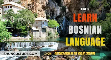 Master Bosnian: Essential Tips and Strategies for Language Learners