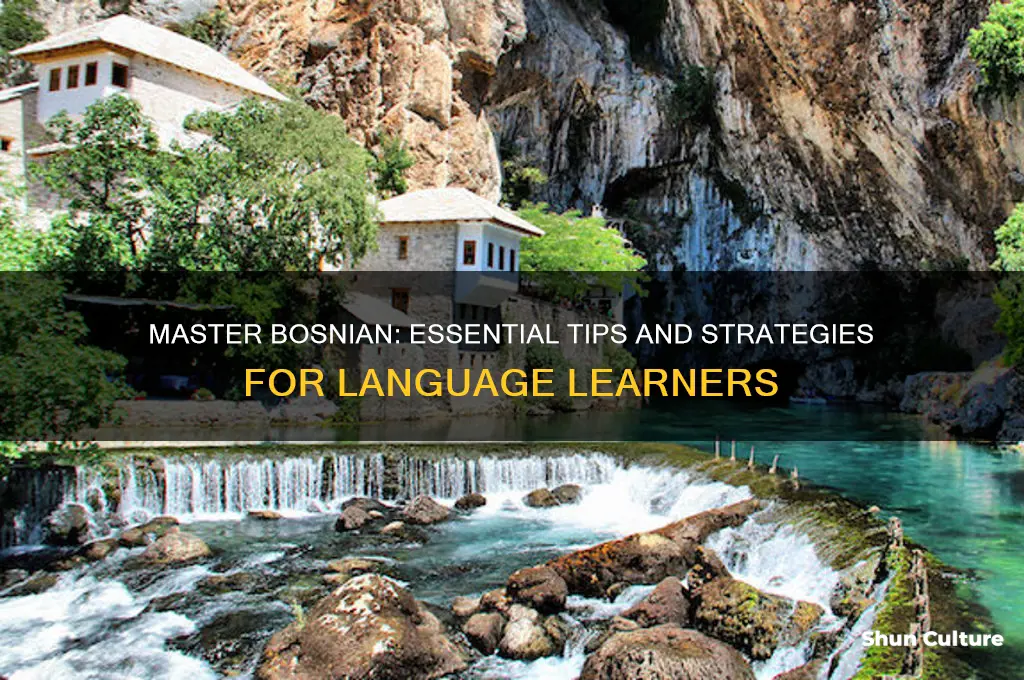 how to learn bosnian language