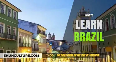 Discover Brazil: Culture, Language, and Travel Tips for Beginners