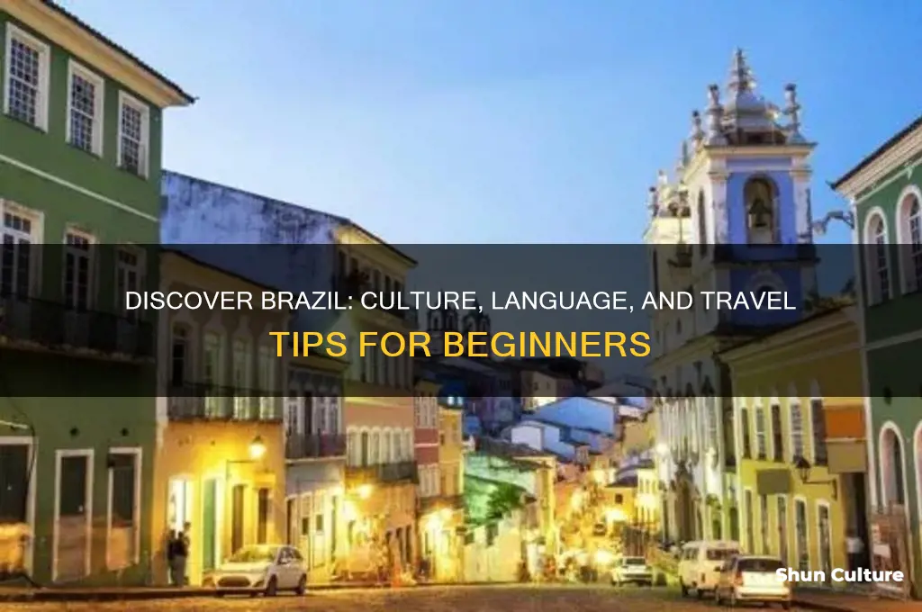 how to learn brazil