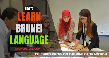 Mastering Brunei Language: A Guide to Learning the Local Tongue