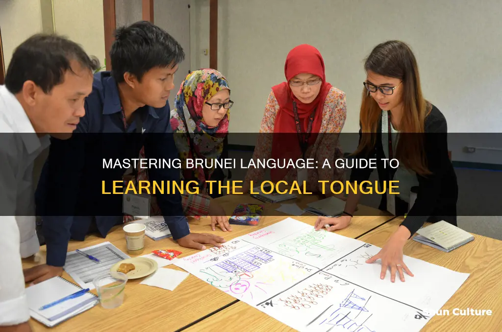 how to learn brunei language