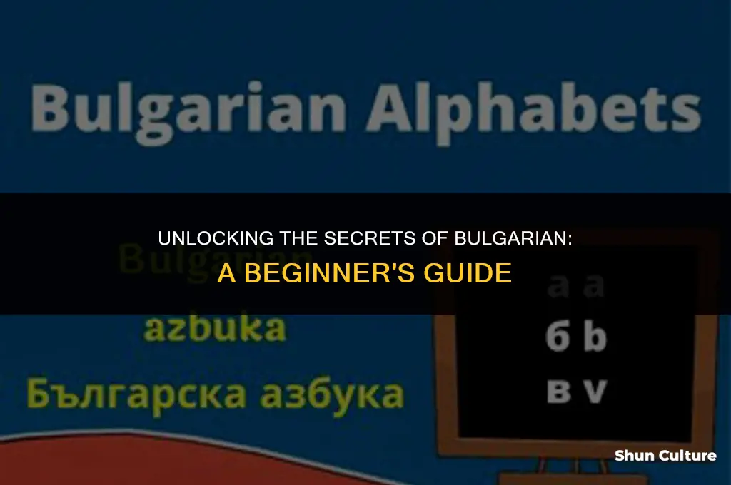 how to learn bulgarian