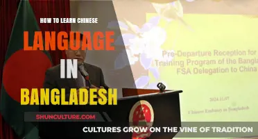 Mastering Chinese in Bangladesh: Effective Strategies for Language Learners