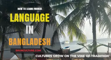 Mastering French in Bangladesh: Effective Strategies for Language Learners