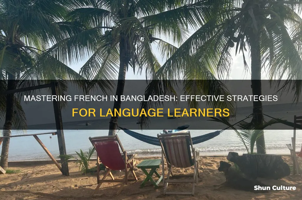 how to learn french language in bangladesh