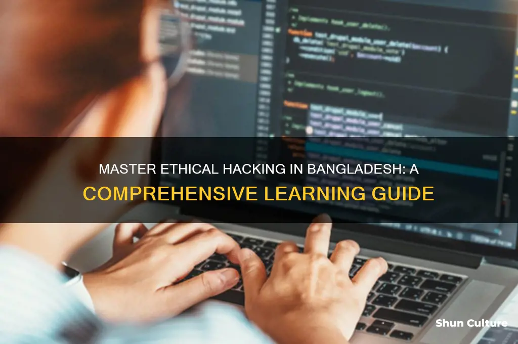 how to learn hacking in bangladesh