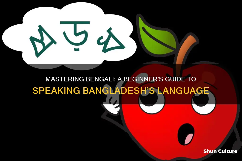 how to learn how to speak bangladesh