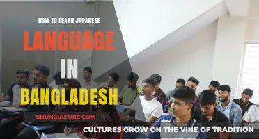 Mastering Japanese in Bangladesh: Effective Learning Strategies and Resources