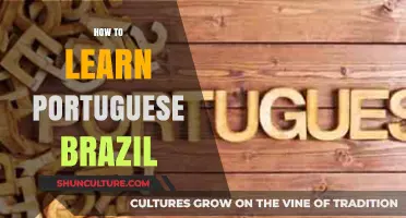 Master Brazilian Portuguese: Essential Tips for Fast and Effective Learning