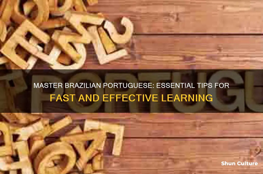 how to learn portuguese brazil